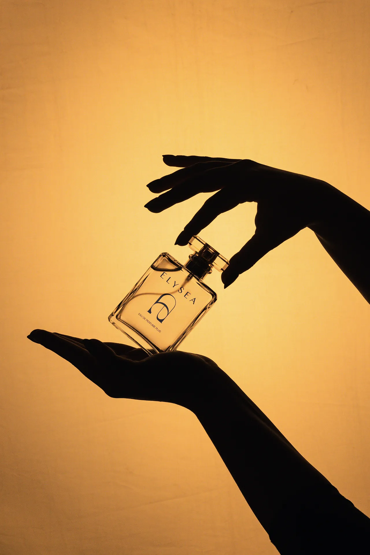 Aromata Image Homepage